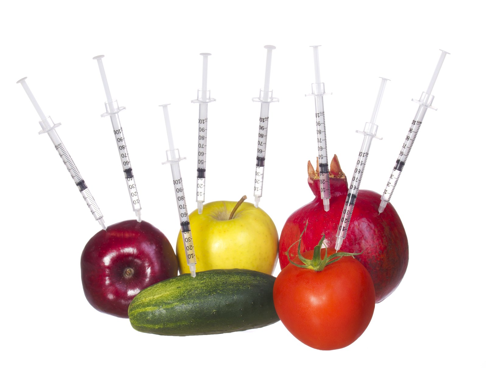 Organic microgreens growing in clean soil