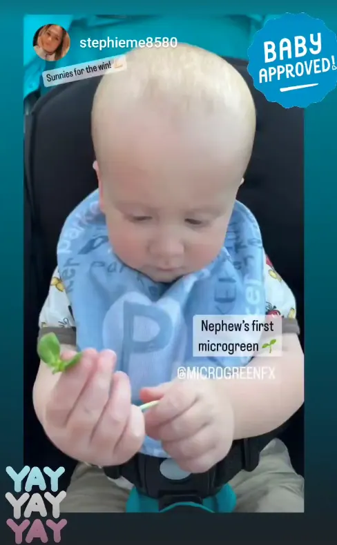 Babies enjoying tiny microGREEN FX microgreen plants