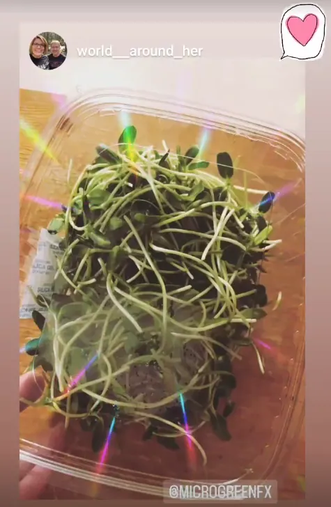 Diane enjoying microGREEN FX sunflower microgreens