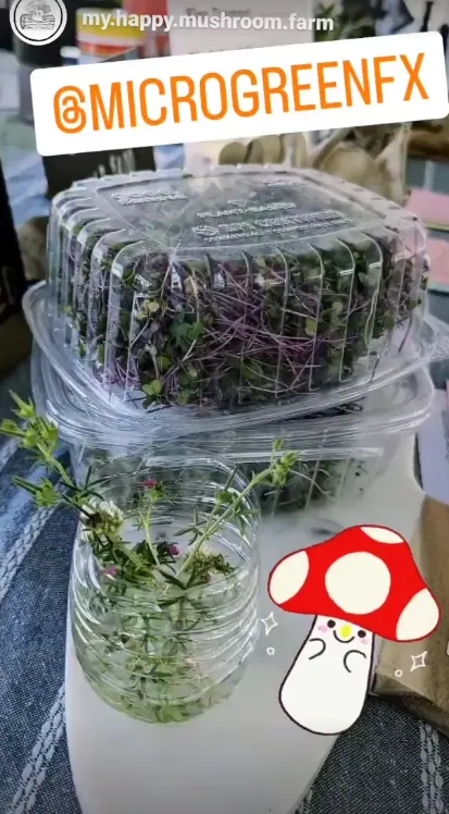 My Happy Mushroom Farm partnering with microGREEN FX