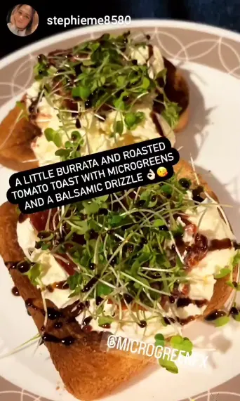 Burrata with roasted tomato, balsamic drizzle, and microGREEN FX microgreens