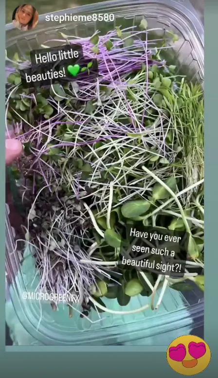 microGREEN FX Farmer's Blend microgreens on a plate