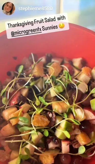 Fruit salad topped with microGREEN FX microgreens