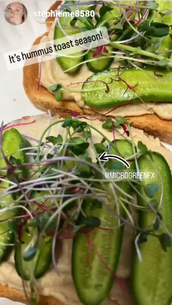 Hummus toast topped with microGREEN FX microgreens