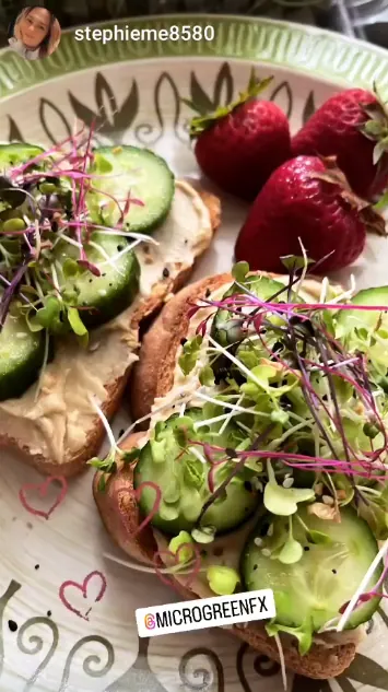 Hummus toast with microgreens, second variation