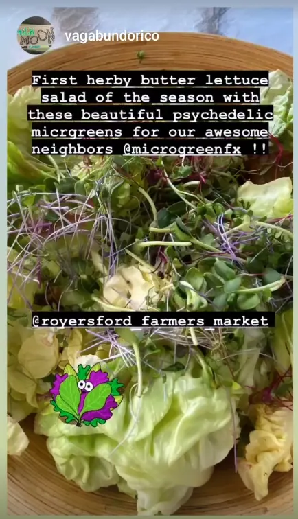 Vagabundo Rico featuring microGREEN FX microgreens