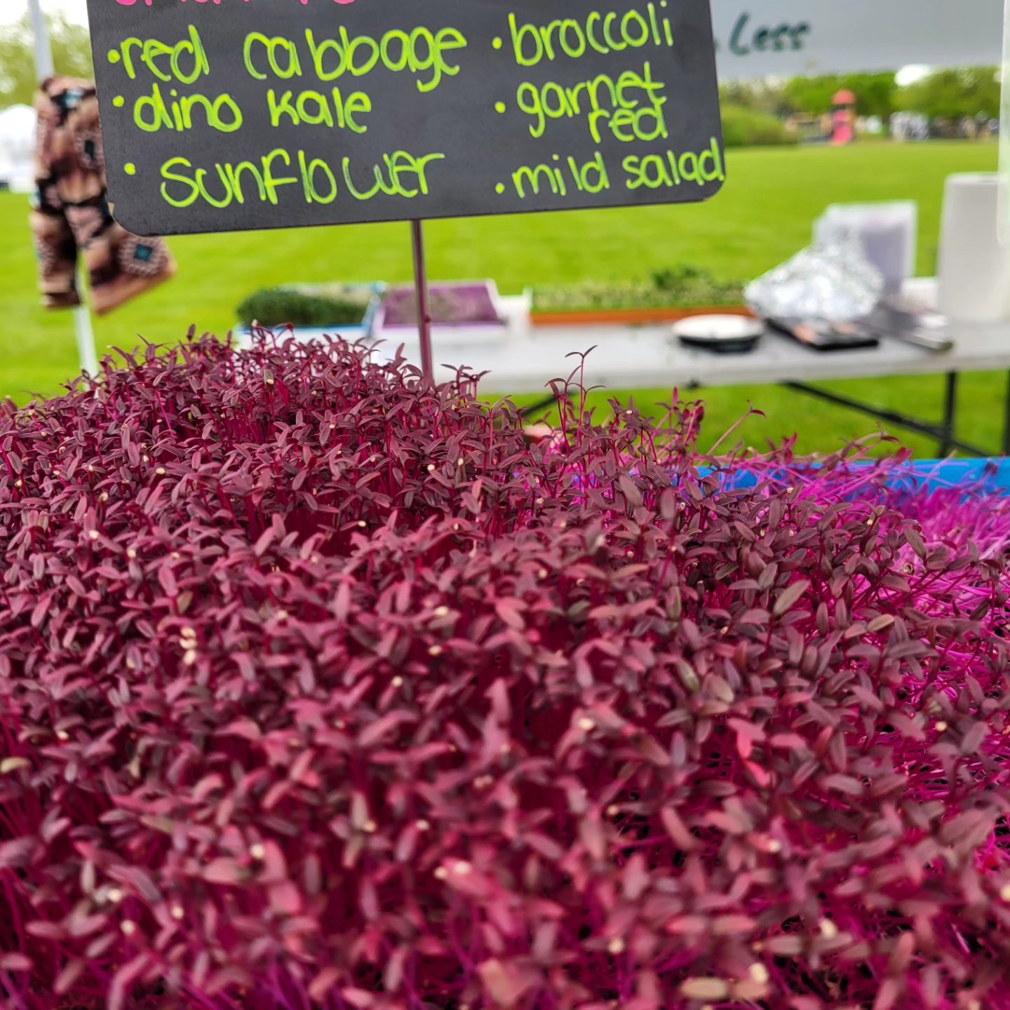 Locally Grown Showcase overview