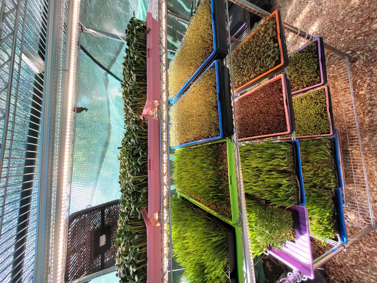 Our climate-controlled grow room