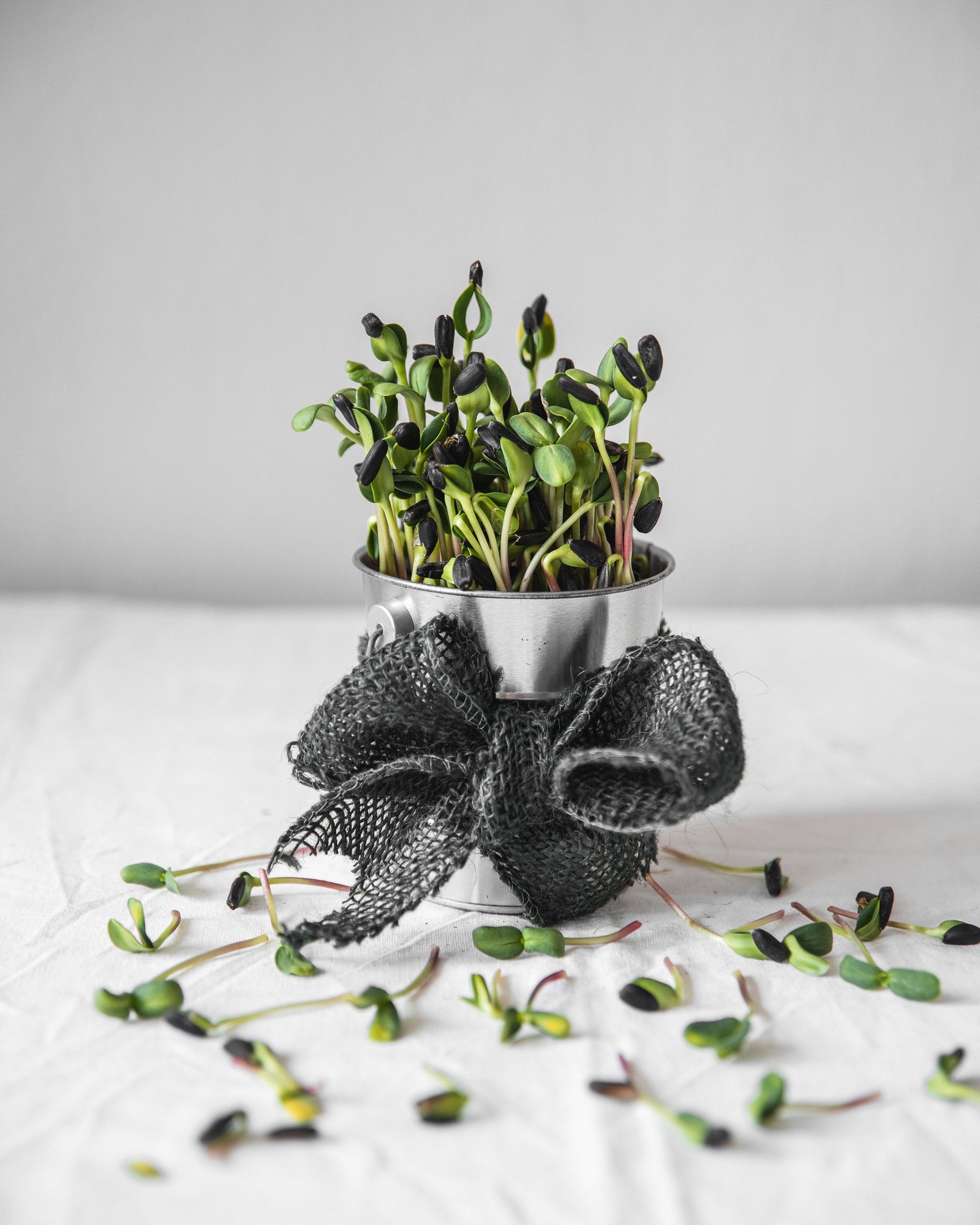 Grow Your Own Kit 🌱