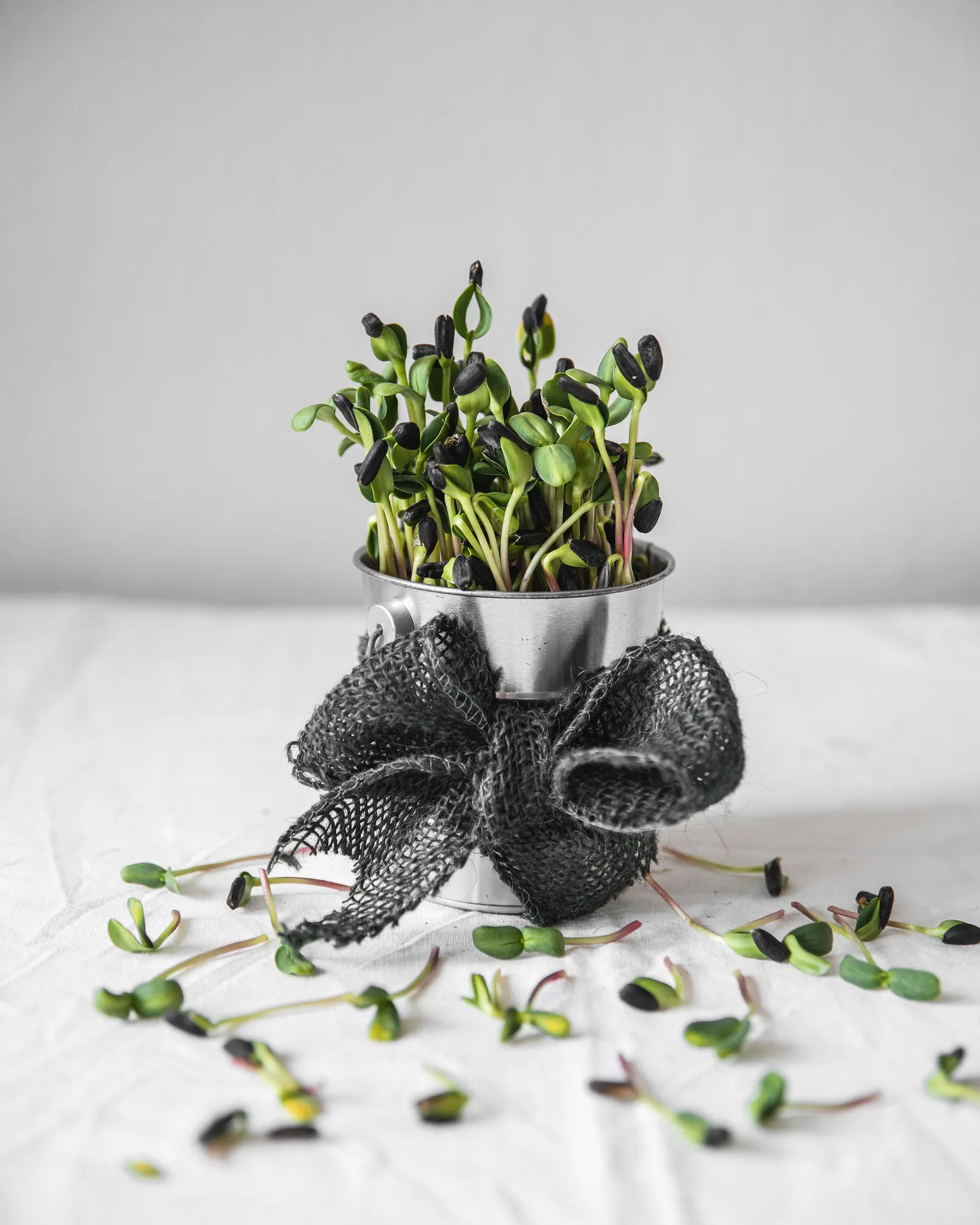 microGREEN FX Grow Your Own Kit